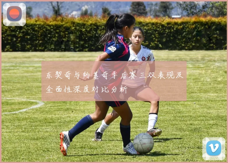 东契奇与约基奇季后赛三双表现及全面性深度对比分析